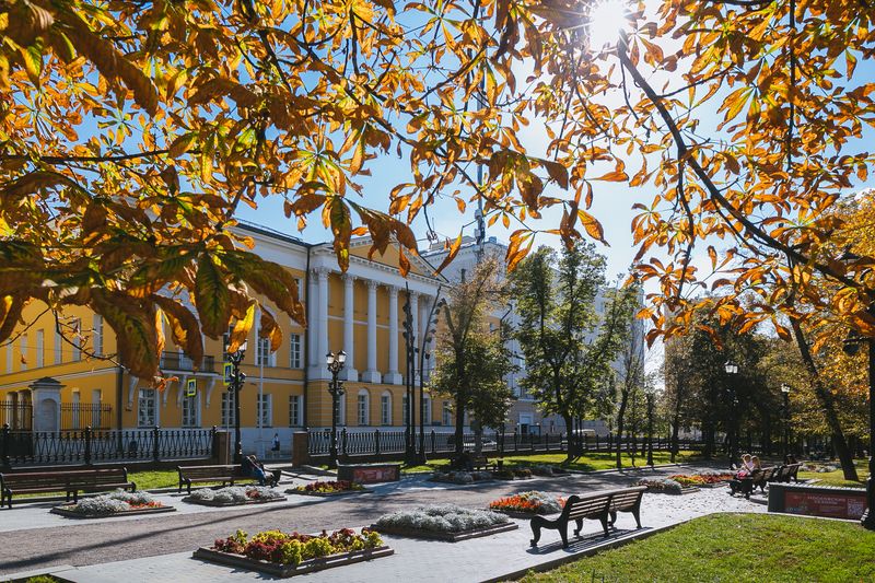 Early-Career Researchers Discuss Cooperation between Russia and Arab States